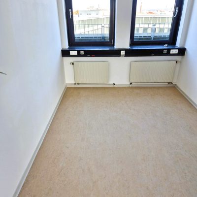 Ponitas_Berlin_linoleum