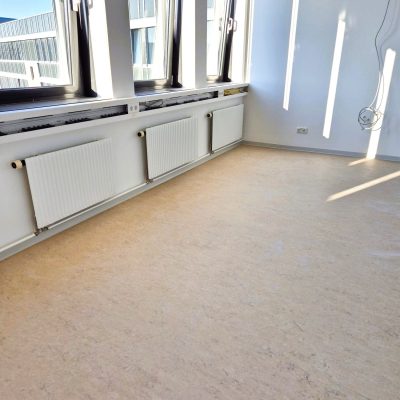 Ponitas_Berlin_linoleum2