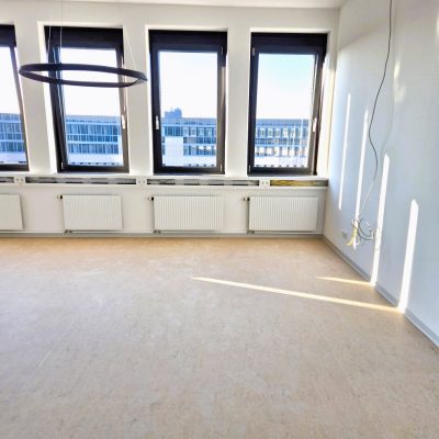 Ponitas_Berlin_linoleum4